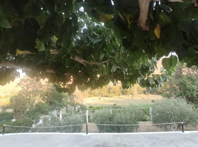 Holiday home House Moschα Andros Town