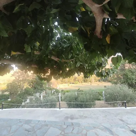 Tatil Evi House Moschα Ándros